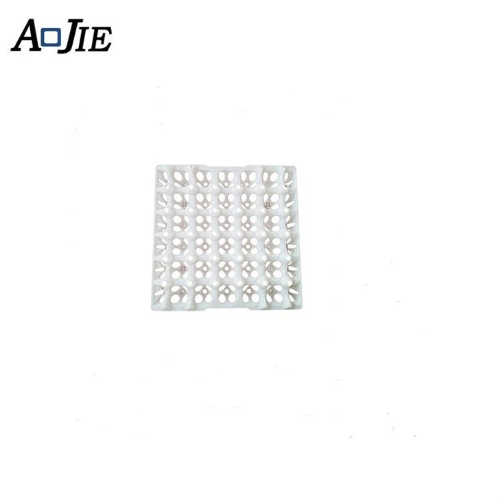 Plastic Injection Mould Egg Tray Storage Household Appliance Mold Maker